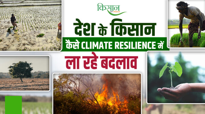 Climate-Resilient Agriculture: कैसे भारत का किसान जलवायु-लचीली कृषि के साथ बदल रहा है खेती का नक्शा