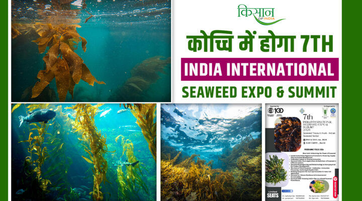 7th India International Seaweed Expo and Summit: कोची में जुटेगा दुनिया का समुद्री शैवाल उद्योग, आयोजित होगा 7वां अंतर्राष्ट्रीय सीवीड एक्सपो एवं शिखर सम्मेलन