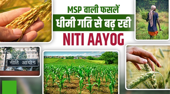 NITI Aayog : न्यूनतम समर्थन मूल्य (MSP) की सीमा से बाहर निकले नए भारत के किसान, तभी देश बनेगा आत्मनिर्भर