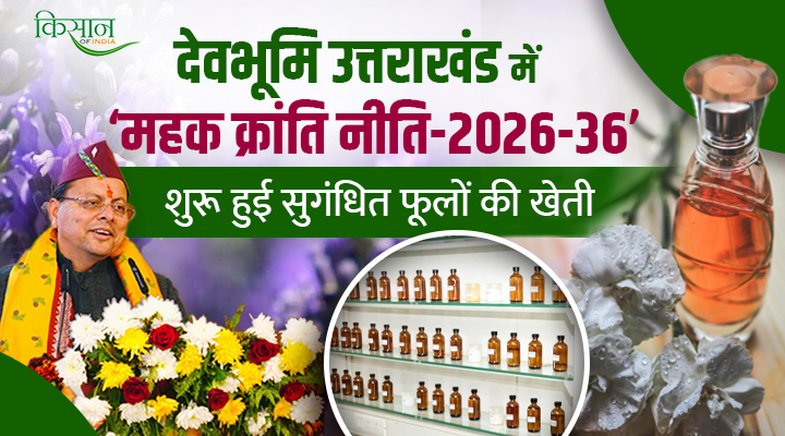 Uttarakhand Aroma Revolution Policy 2026-36: उत्तराखंड में ‘महक क्रांति’ की शुरुआत,अब सुगंधित फसलों से बदलेगी किसानों की किस्मत