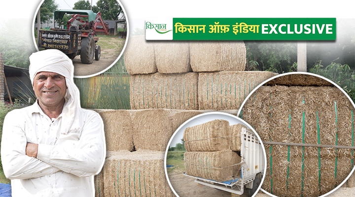 भूसा स्टोरेज straw storage