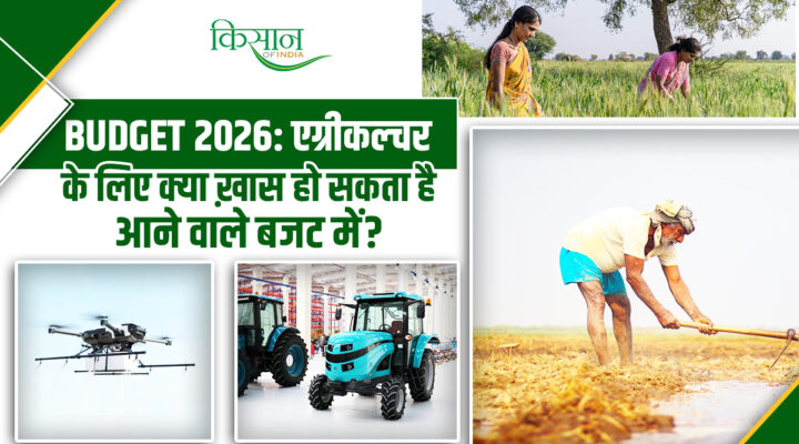किसानों के लिए क्या नया होगा Budget 2026-27 में? एग्री-बिज़नेस के मौके,डिजिटल खेती को कैसे मिलेगा बढ़ावा, पढ़े इस लेख में
