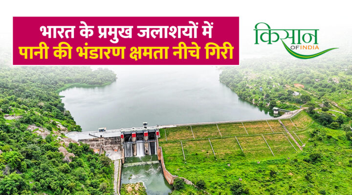 Water Levels Of Reservoirs: अलर्ट! देश के बड़े जलाशय सूखने की कगार पर, 80 फीसदी से नीचे पहुंचा जलस्तर