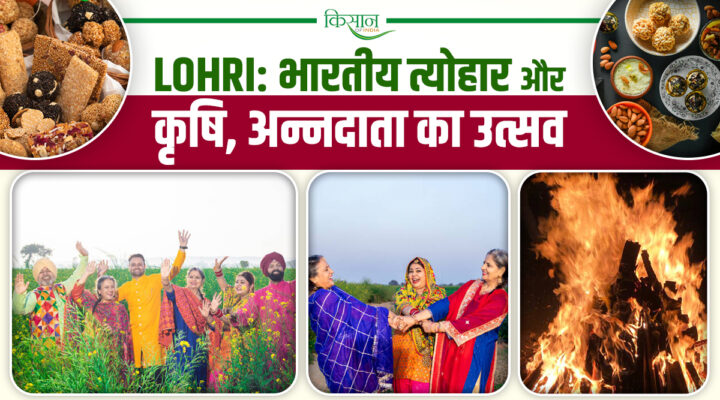 Lohri, Pongal, Bihu, Makar Sankranti: जानिए कैसे भारत में कृषि और त्योहार का है अनूठा रिश्ता!