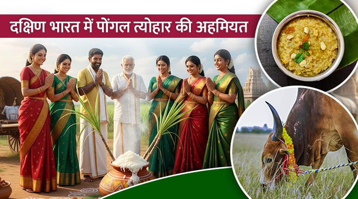 क्यों है Pongal सिर्फ दक्षिण का नहीं, बल्कि पूरे भारत का जीवन-उत्सव? एक पर्व जो प्रकृति को फसल से भी बढ़कर जोड़ता है