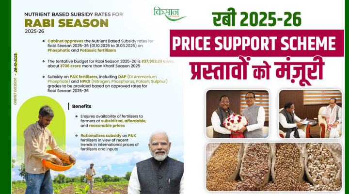 Rabi Season 2025-26: केंद्र ने छत्तीसगढ़ की इन 3 फसलों की MSP पर ख़रीद को दी मंजूरी