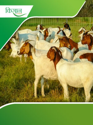 Goat Farming Cover (1)