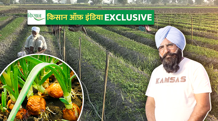 Hi-Tech Vegetable Nursery