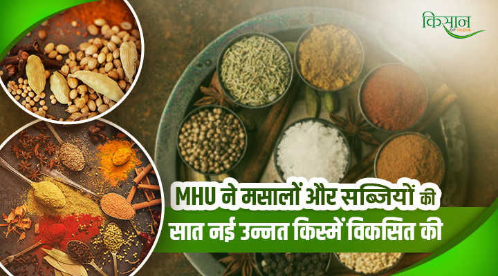 Maharana Pratap Horticulture University ने ढूंढी किसानों की तकदीर बदलने वाली मसालों और सब्ज़ियो की 7 जादुई किस्में!