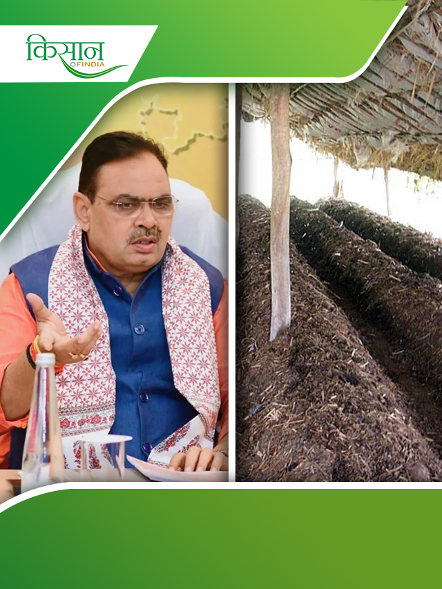 राजस्थान सरकार वर्मीकंपोस्ट योजना के तहत दे रही 50% तक सब्सिडी