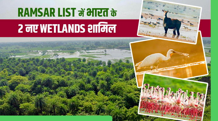 World Wetlands Day 2026 से पहले भारत के दो वेटलैंड्स को Ramsar सूची में शामिल
