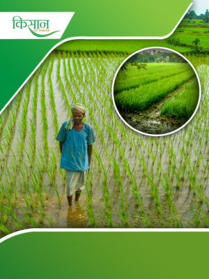 end plate cover (36)