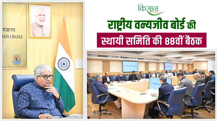 राष्ट्रीय वन्यजीव बोर्ड की बैठक