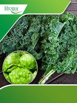 End Plate Cover (38)