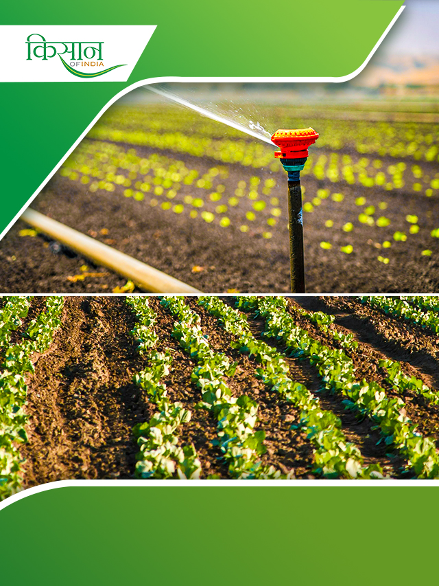 क्या है Raingun? और कैसे किया जाता है इसका इस्तेमाल जानिए