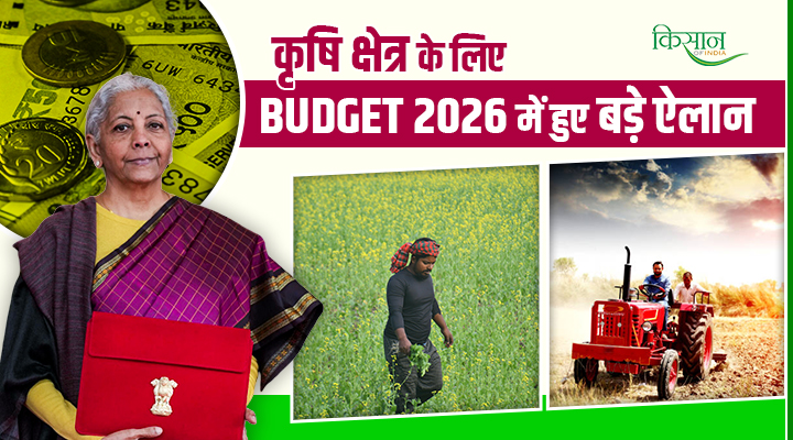 Union Budget 2026-27: किसानों को मिला AI मित्र 'भारत-विस्तार', हाई-वैल्यू फसलों और ग्रामीण सशक्तिकरण पर जोर