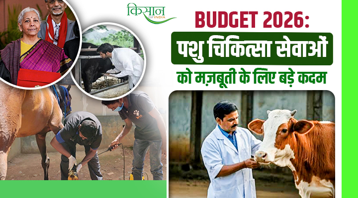 Veterinary Medicine: Budget 2026 में निजी क्षेत्र को सब्सिडी, बीमारी-मुक्त पशुधन और एक्सपोर्ट बढ़ाने पर जोर