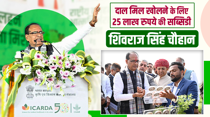दलहन किसानों-उद्यमियों के लिए खुशख़बरी: मिलेंगे फ्री उन्नत किस्म के बीज कीट, दाल मिल लगाने पर 25 लाख की सब्सिडी