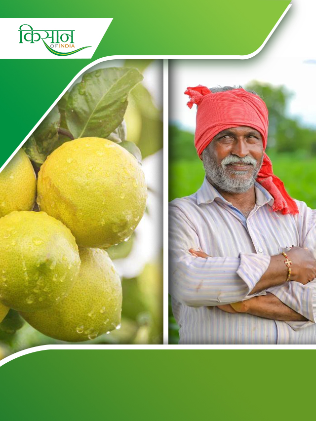 नींबू की खेती और सरकारी योजनाओं का मेल