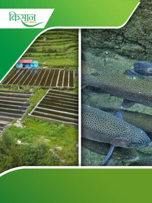 end plate cover (39)