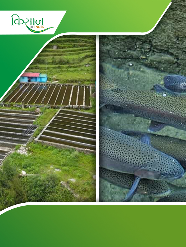 चमोली बना मत्स्य पालन में उत्तराखंड का अहम केंद्र