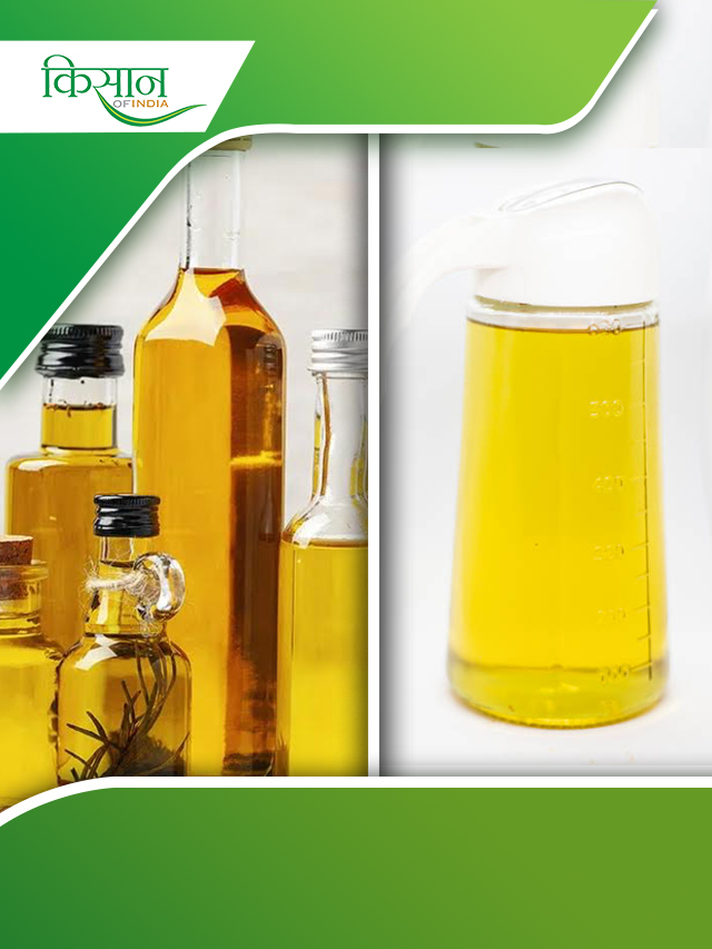 देश की कड़ाही में अब होगा ‘भारतीय’ तेल, 500 ज़िलों में 1076 क्लस्टर