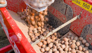 20 साल पहले शुरू की जैविक खेती, आलू के बीजों में माहिर किसान सुखजीत सिंह