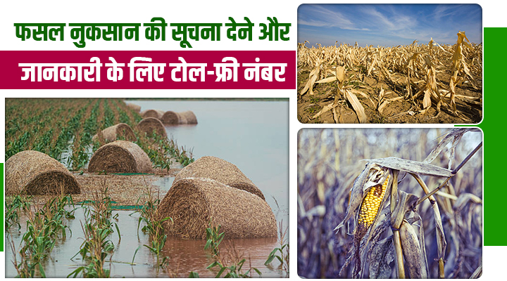अब फ़सल ख़राब होने पर न घूमना पड़ेगा चक्कर! योगी सरकार ने किसानों के लिए लॉन्च किया ये Special Helpline Number