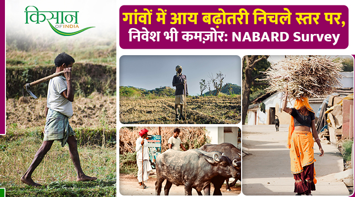 Rural Economy Slows Down: गांवों में सिमटती कमाई, बढ़ता खर्च और निवेश में भारी गिरावट, NABARD सर्वे में खुलासा