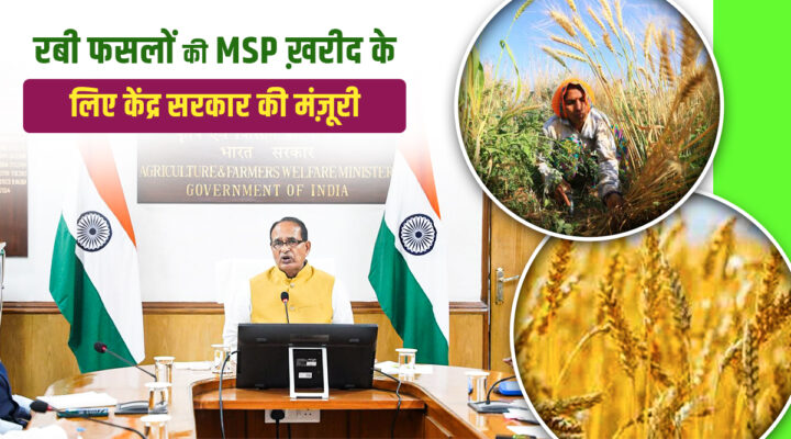 Rabi Season 2025-26: अब किसानों को मिलेगा सही दाम, 11 हज़ार करोड़ से अधिक की MSP ख़रीद को मंज़ूरी