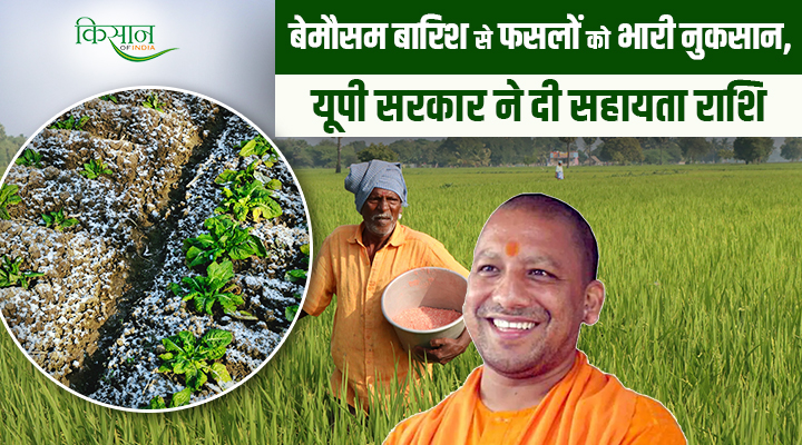 आंधी-ओले ने उजाड़ी किसानों की कमाई, 14 हजार किसान प्रभावित, योगी सरकार ने दी 4.47 करोड़ की सहायता