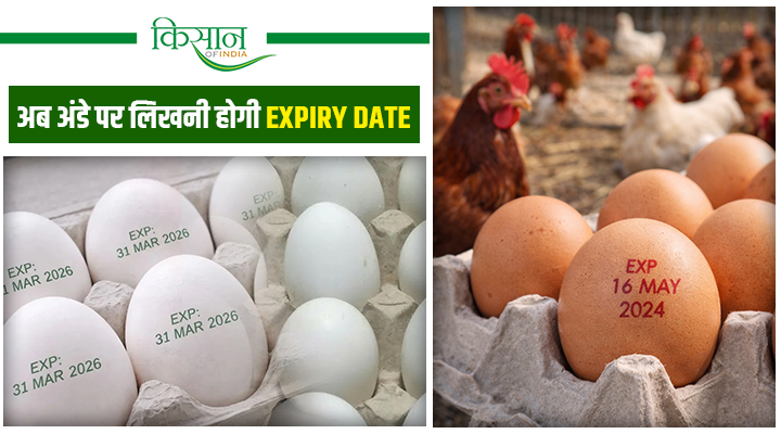 1 अप्रैल से हर अंडे पर लिखी होगी Expiry Date, वरना किया जाएगा नष्ट