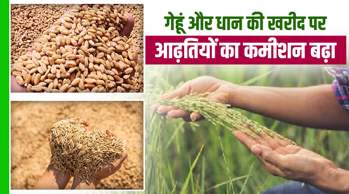 गेहूं और धान की खरीद पर आढ़तियों का कमीशन बढ़ा