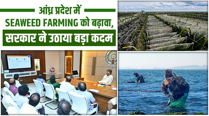 The coastline of Andhra Pradesh: अब Seaweed Farming से बदलेगी मछुआरों और महिलाओं की किस्मत