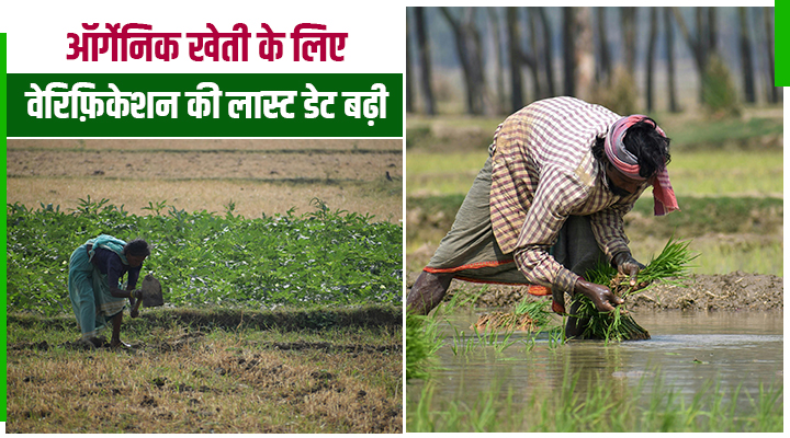 APEDA Organic Farmer Verification: जैविक किसानों को बड़ी राहत, अब 3 जुलाई 2026 तक का मिला मौका