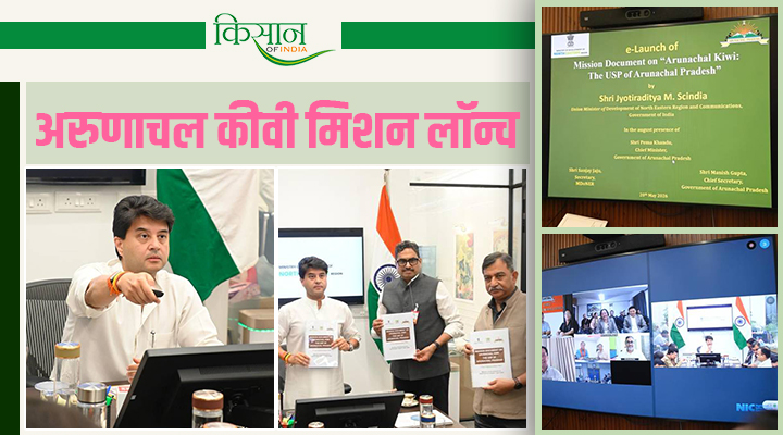 अरुणाचल कीवी अरुणाचल प्रदेश की यूएसपी