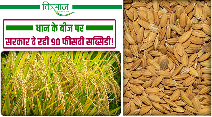 आंध्र प्रदेश सरकार का किसानों को तोहफा: 10 रुपये प्रति किलो सब्सिडी पर मिलेगा धान का बीज