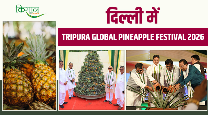 किसानों की मेहनत को मिला वैश्विक मंच: Tripura Global Pineapple Festival 2026 का दिल्ली में हुआ आयोजन