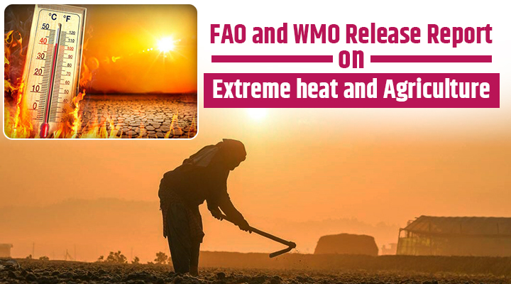 FAO and WMO Report