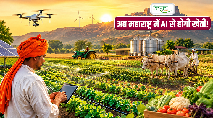 महाराष्ट्र की फसलों पर ‘AI का जादू’! ड्रोन बताएगा कब देना है पानी, मोबाइल पर मिलेगी सटीक सलाह
