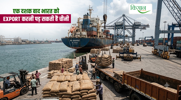चीनी की बढ़ती कीमतों का ग्राफ चौंकाने वाला: अब 10 साल बाद Sugar Import करेगा भारत