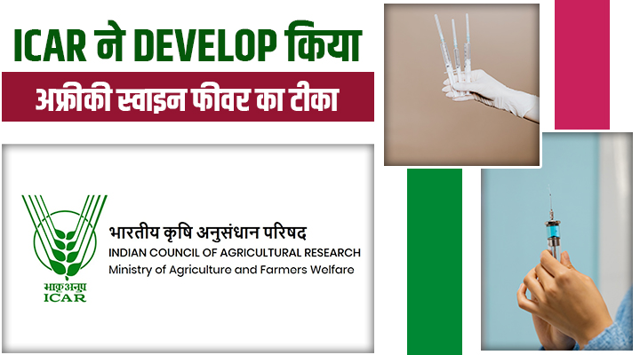 ICAR ने तैयार किया भारत का पहला स्वदेशी टीका, African Swine Fever से किसानों तो मिलेगी निजात