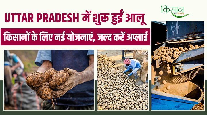 उत्तर प्रदेश के आलू किसानों के लिए तोहफा: तीन महत्वाकांक्षी योजनाओं की शुरुआत,ऑनलाइन पोर्टल से शुभारंभ