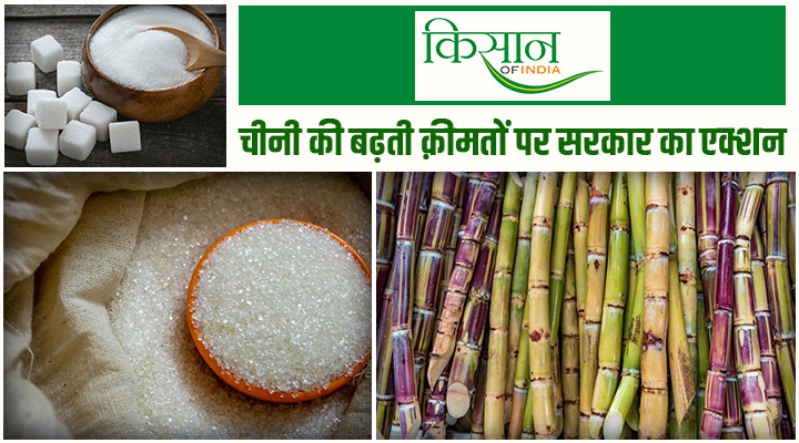 Sugar Price Rise