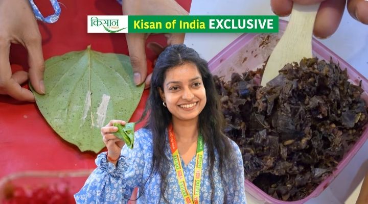 देसावरी पान