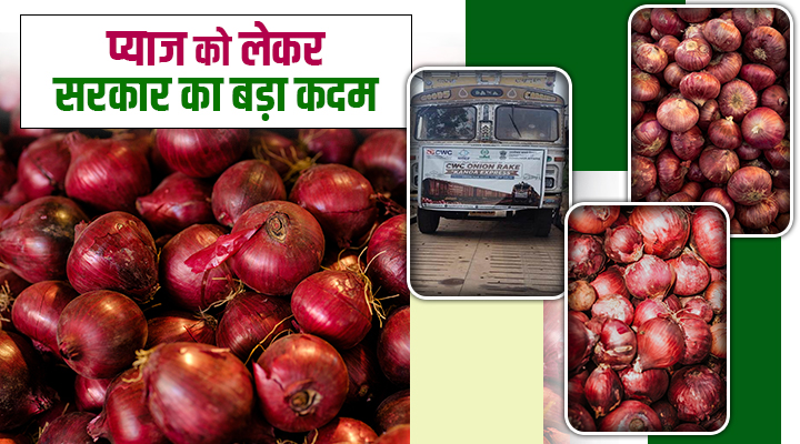 प्याज की उपलब्धता