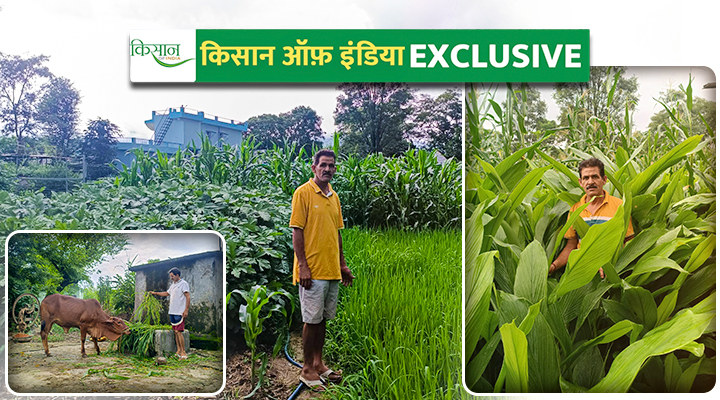 प्राकृतिक खेती Natural Farming