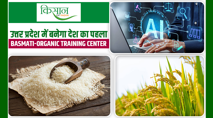 पीलीभीत में बनेगा देश का पहला बासमती-जैविक प्रशिक्षण केंद्र, अब AI से होगी खेती की निगरानी!
