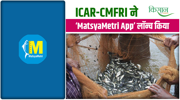 बिना टच किये मछली का Measurement! ICAR-CMFRI का 'MatsyaMetri'App बदल देगा Fisheries Research की तस्वीर