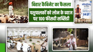 बिहार कैबिनेट का बड़ा फैसला: पशुपालकों को ब्याज पर 100 फीसदी सब्सिडी,किसानों-डेयरी सेक्टर को तोहफा